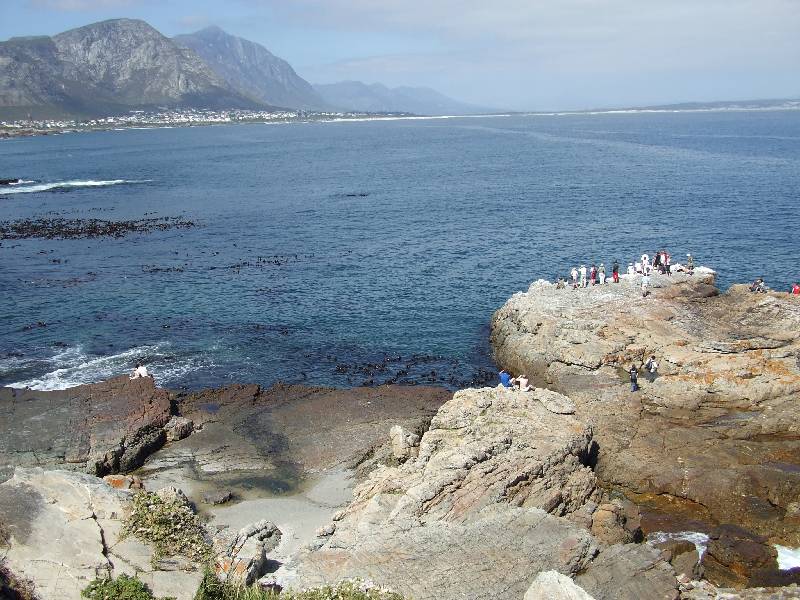 Hermanus (9) 